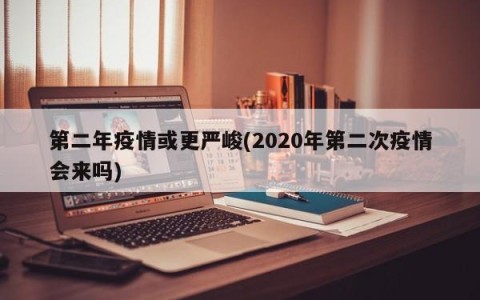 第二年疫情或更严峻(2020年第二次疫情会来吗)